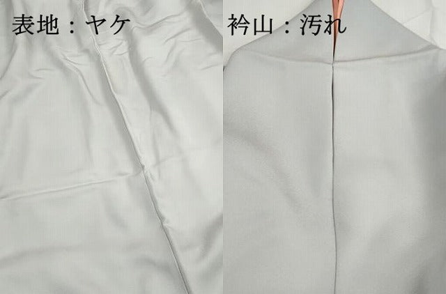 平和屋着物■訪問着 友禅 花鳥文 暈し染め 正絹 逸品 DABG4882qa