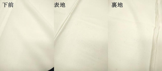 平和屋着物▽訪問着 単衣 舞桜 洗える着物 DABG5705fe