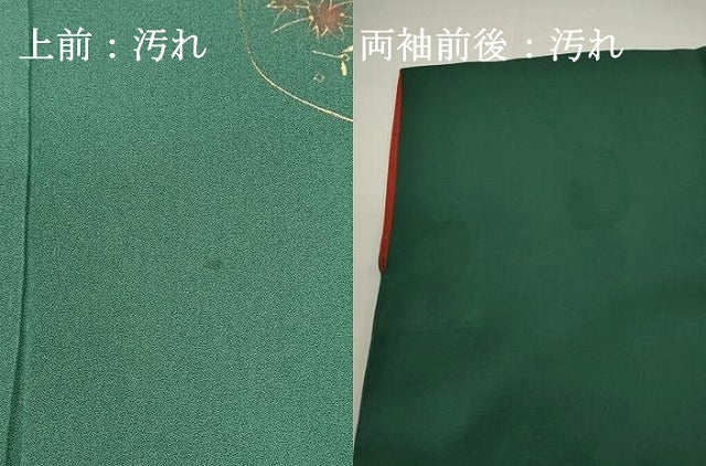 平和屋着物■訪問着 草花文 金彩 正絹 逸品 DABG6685cd