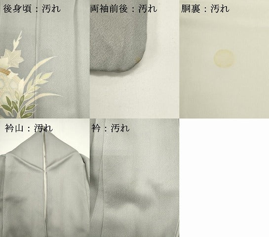 平和屋着物■訪問着 草花文 ロング丈 正絹 逸品 DABG6727cd