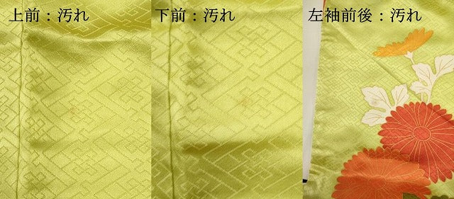 平和屋着物■豪華振袖 駒刺繍 亀甲花文 金彩 正絹 逸品 DABG6906cd