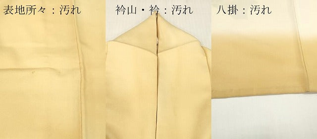平和屋着物■訪問着 短冊籬草花文 暈し染め 正絹 逸品 DABG7119zy