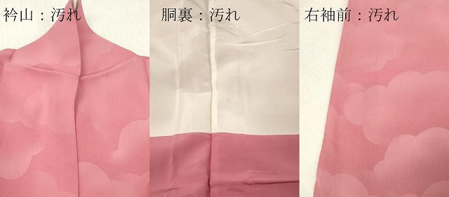 平和屋着物■上質な小紋 雲文 正絹 逸品 DABG7121zy