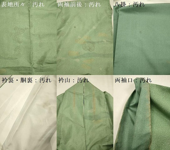 平和屋着物■訪問着 本場染大島紬 エ霞風景文 正絹 逸品 DABG7530ya