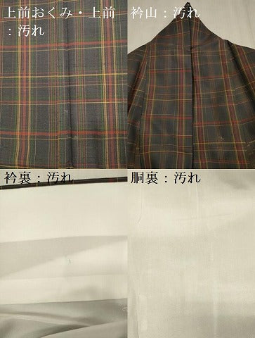 平和屋着物■上質な紬 格子 正絹 逸品 DABG7574ya
