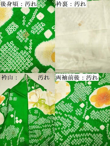 平和屋着物■豪華振袖 駒刺繍 絞り 草花文 牡丹 金彩 正絹 逸品 DABG7656ya