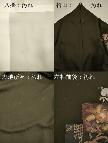 平和屋着物■訪問着 横段舞蝶花文 金彩 正絹 逸品 DABG7707ya