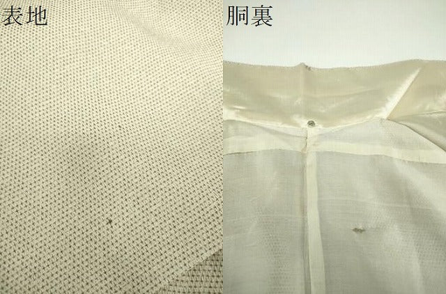 平和屋着物●本塩沢 蚊絣 正絹 逸品 DABG8213ps