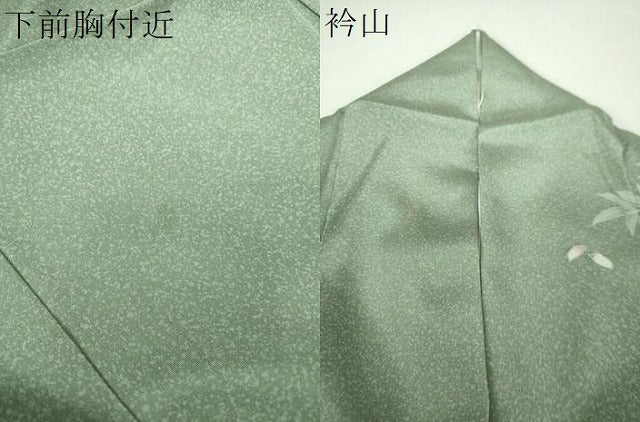 平和屋着物●訪問着 友禅 藤花房 草花文 暈し染め 松坂屋扱い 正絹 逸品 DABG8238ps