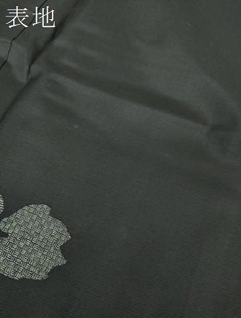 平和屋着物●本場大島紬 訪問着 作家物 刺繍 雅一扇 葡萄蔦の葉文 ほていや扱い 正絹 逸品 未使用 DABG8431ps