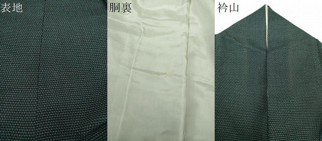 平和屋着物●本塩沢 蚊絣 正絹 逸品 DABG8492ps