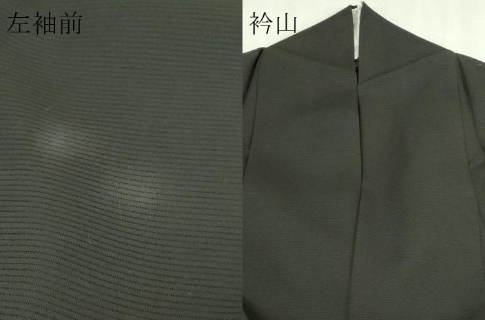 平和屋着物*夏物 黒留袖 友禅 作家物 絽 飛鶴花文 正絹 逸品 DABG9801sf