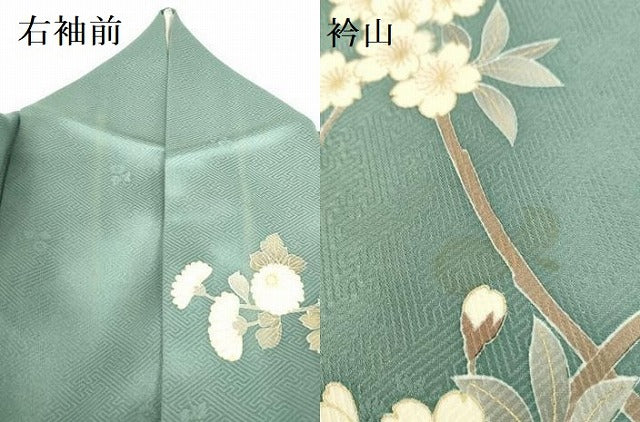 平和屋着物●訪問着 駒刺繍 草花 金彩 正絹 逸品 DABH0133op