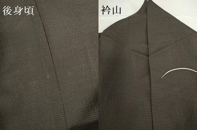 平和屋着物*夏物 訪問着 絽 舞葉文 銀彩 正絹 逸品 DABH0229op