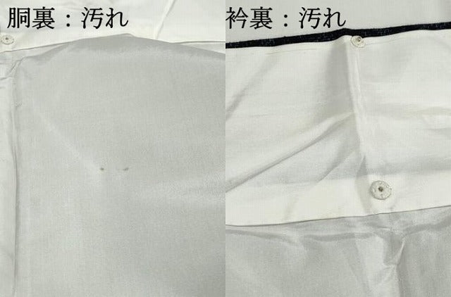 平和屋着物■上質な紬 有栖川文様 正絹 逸品 DABH1020qa