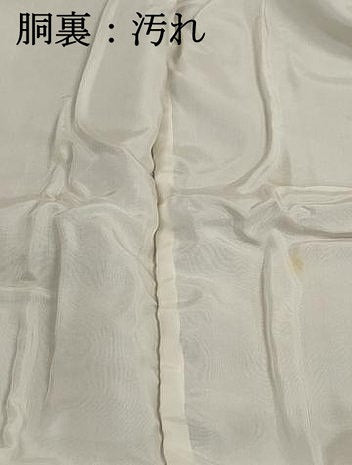 平和屋着物■上質な小紋 風景花文 鬼しぼ縮緬 ロング丈 正絹 逸品 DABH1033qa