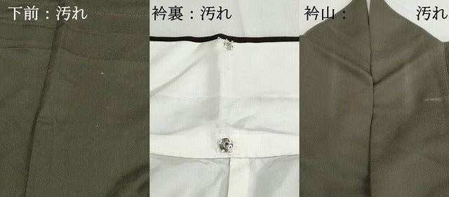 平和屋着物■訪問着 孔雀文 金銀彩 正絹 逸品 DABH1036qa