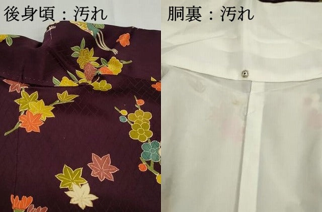 平和屋着物■訪問着 扇面花文 椿 金彩 正絹 逸品 DABH1049qa
