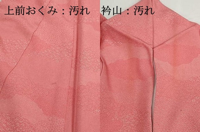 平和屋着物■江戸小紋 寄せ小紋柄 正絹 逸品 DABH1208qa