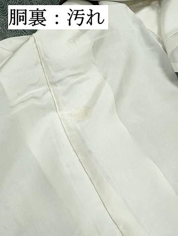 平和屋着物■江戸小紋 流水菊文 正絹 逸品 DABH1279qa