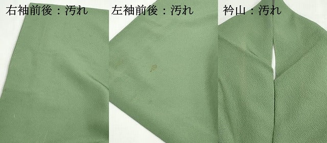 平和屋着物■訪問着 樹林風景文 暈し染め 金彩 鬼しぼ縮緬 正絹 逸品 DABH1307qa