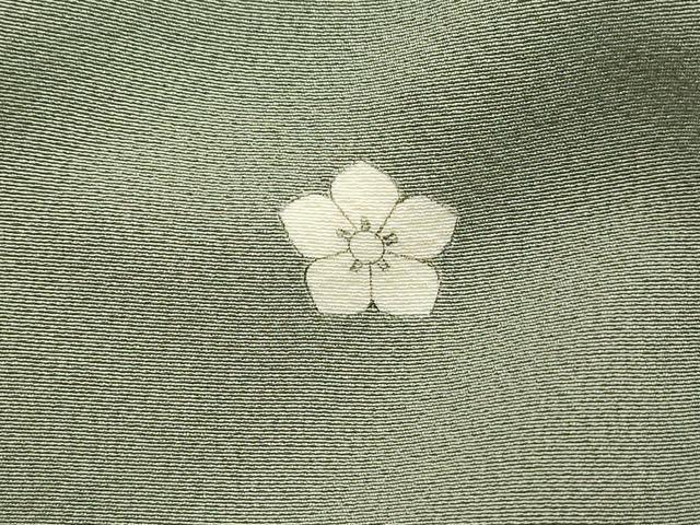 平和屋着物■豪華色留袖 流水枝梅文 菊 金彩 正絹 逸品 DABH1487qa