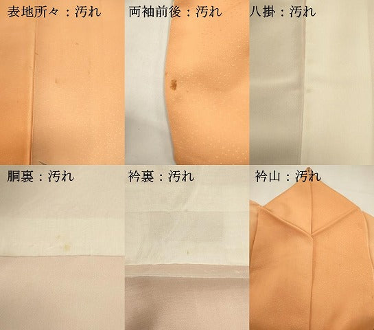 平和屋着物■訪問着 枝松文 暈し染め 正絹 逸品 DABH1902cd