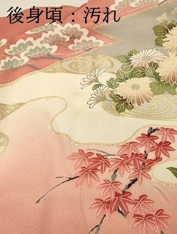平和屋着物■豪華振袖 尾長鳥花文 牡丹 鴛鴦 暈し染め 金彩 正絹 逸品 DABH2825qp