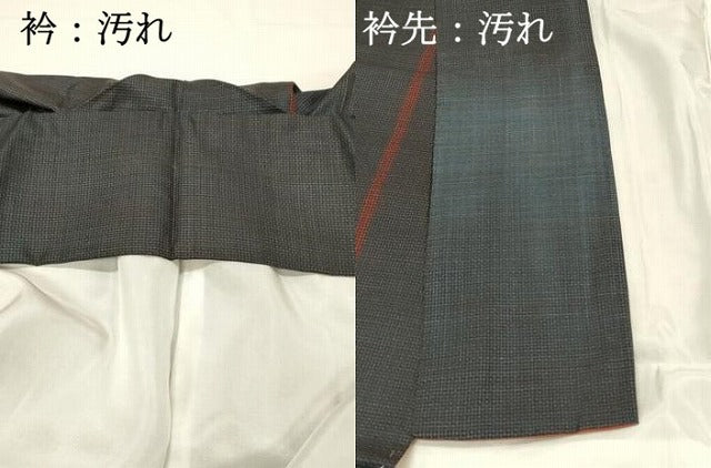 平和屋着物■本場大島紬 100亀甲 総詰め 間道 正絹 逸品 DABH4052qp