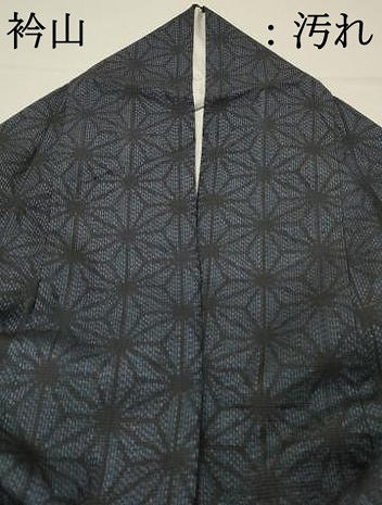 平和屋着物■上質な紬 麻の葉文様 ロング丈 正絹 逸品 DABH4202qp