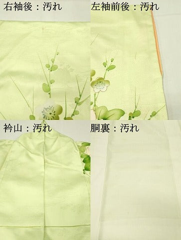 平和屋着物■訪問着 草花文 暈し染め 金彩 洗える着物 DABH4204qp