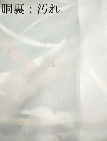 平和屋着物■振袖 雪芝取り花文 洗える着物 DABH5047ea