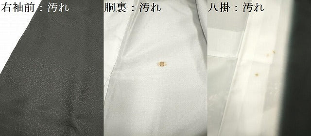 平和屋着物■訪問着 手描き 風景鳳凰花文 黒地 金彩 洗える着物 DABH5054ea