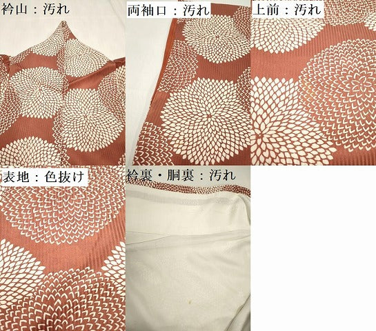 平和屋着物■上質な小紋 菊尽くし 正絹 逸品 DABH5116ea