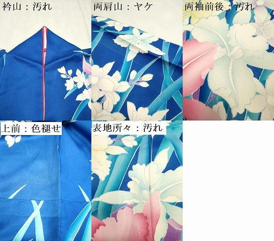 平和屋着物■豪華振袖 蘭尽くし 銀彩 正絹 逸品 DABH5117ea
