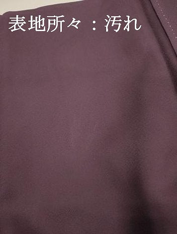 平和屋着物■訪問着 道長七宝花文 正絹 逸品 DABH5537ya