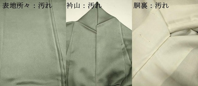 平和屋着物■上質な色無地 霰地紋 山葵色 正絹 逸品 DABH5585ya