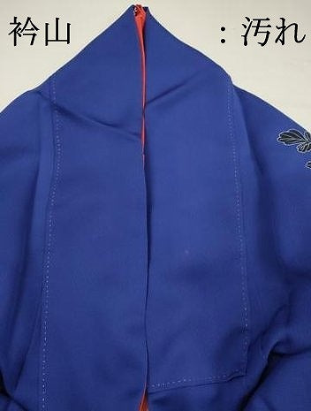 平和屋着物■訪問着 乱菊 正絹 逸品 DABH5763ya