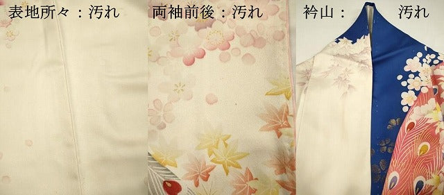 平和屋着物■紫綬褒章 巨匠『岩田専太郎』 振袖 駒刺繍 孔雀羽花文 金彩 正絹 逸品 DABH5780ya
