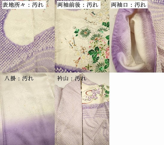 平和屋着物■豪華振袖 駒刺繍 絞り 花車文 牡丹 暈し染め 金彩 正絹 逸品 DABH5824ya