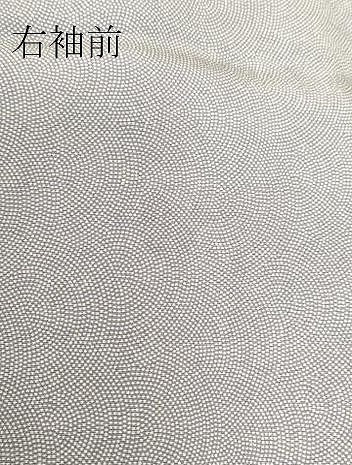 平和屋着物▽江戸小紋 単衣 鮫小紋柄 正絹 逸品 DABH6578az