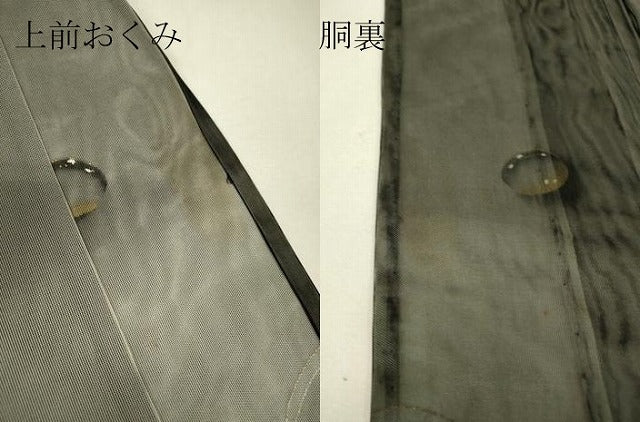 平和屋着物▽訪問着 無双 紗袷 紗×紗 梅雨芝文 黒地 金彩 正絹 逸品 DABH6816az