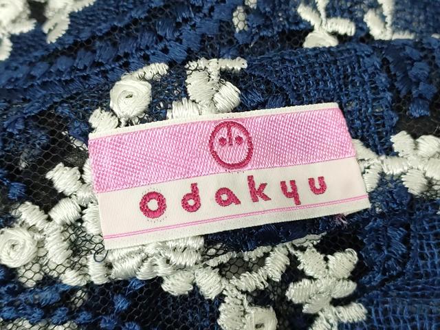 平和屋着物▽道行コート スリーシーズン 春夏秋 塵除け 総レース 草葉文 小田急百貨店扱い DABH6837az