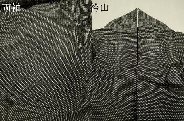 平和屋着物▽本塩沢 単衣 蚊絣 黒地 ロング丈 正絹 逸品 DABH7344fe
