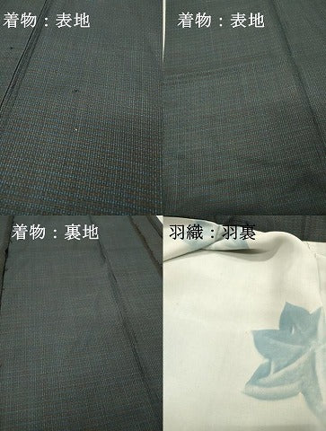 平和屋着物▽男性 単衣 本場大島紬 アンサンブル 仮絵羽 100亀甲 総詰め 正絹 逸品 DABH7441fe