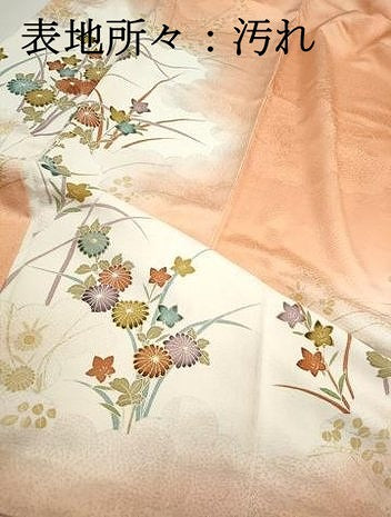 平和屋着物■訪問着 刺繍 草花文 暈し染め 金彩 正絹 逸品 DABH8589qa