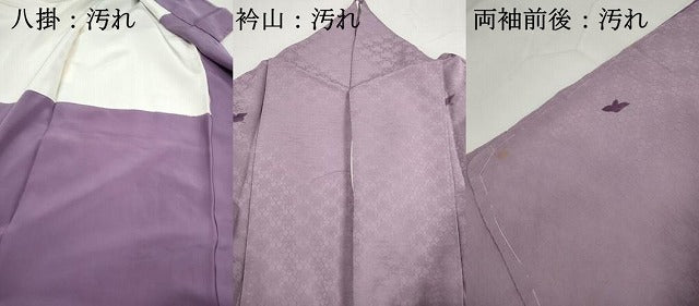 平和屋着物■訪問着 手描き 刺繍 飛鳥文 松 銀糸 正絹 逸品 DABH8696qa