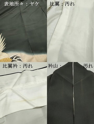 平和屋着物■豪華黒留袖 総刺繍 飛鶴文 江戸紐 暈し染め 金銀糸 正絹 逸品 DABH8937qa