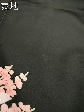 平和屋着物●豪華黒留袖 友禅 作家物 花鳥風景 正絹 逸品 DABH9132ps