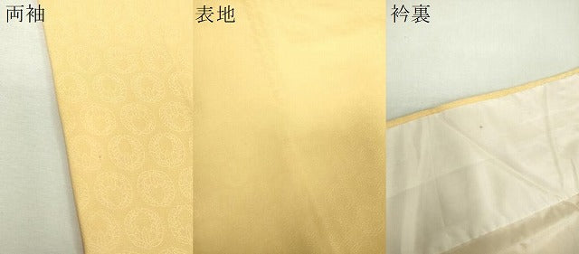 平和屋着物●上質な色無地 上がり藤地紋 下がり藤地紋 蒸栗色 正絹 逸品 DABH9283ps